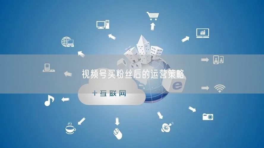 视频号买粉丝后的运营策略