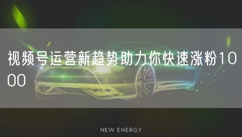 视频号运营新趋势助力你快速涨粉1000