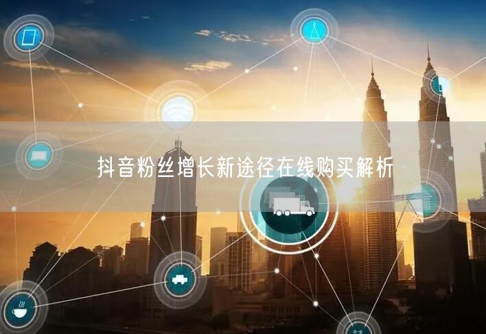 抖音粉丝增长新途径在线购买解析