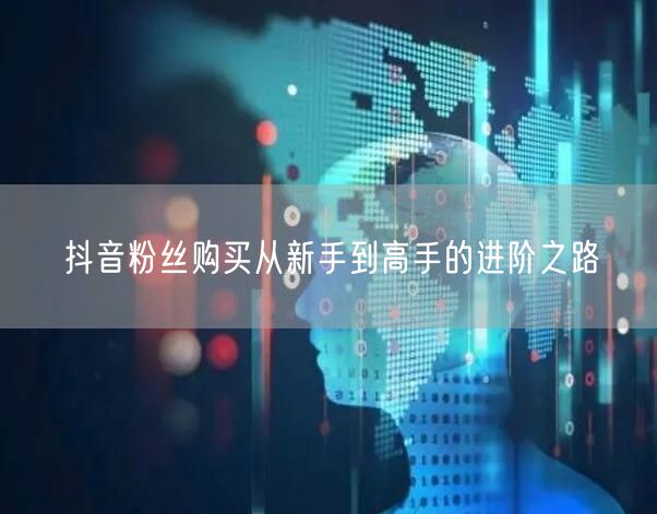 抖音粉丝购买从新手到高手的进阶之路