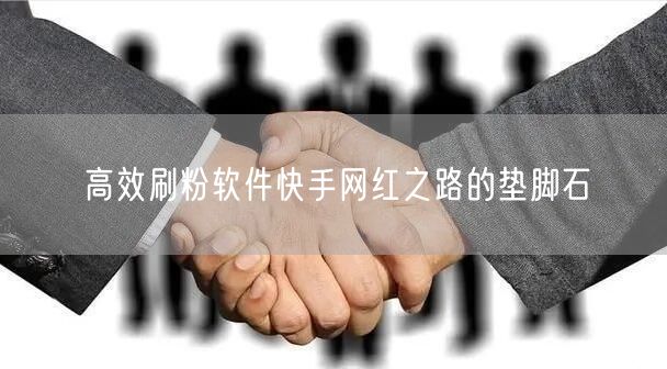 高效刷粉软件快手网红之路的垫脚石